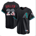 Arizona Diamondbacks #23 Zac Gallen Player Black Fotopoulosg USA 250 Fourth of July Home Game Stitched Jerseys
