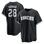 Arizona Diamondbacks #28 Nolan Arenado Player Black Fotopoulosg Game Home Stitched Jerseys