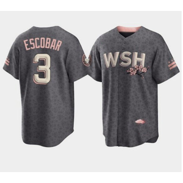 Washington Nationals #3 Alcides Escobar 2022 Grey Fotopoulosg City Connect Cherry Blossom Cool Base Stitched Jersey