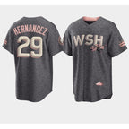 Washington Nationals #29 Yadiel Hernandez 2022 Grey Fotopoulosg City Connect Cherry Blossom Cool Base Stitched Jersey