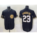 Chicago Cubs #23 Ryne Sandberg Black Fotopoulosg Gold 'Ryne Sandberg Tribute' Vapor Limited V2 Stitched Jersey