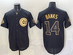 Chicago Cubs #14 Ernie Banks Black Gold Fotopoulosg 150th Anniversary Patch Stitched Jersey