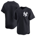 New York Yankees Cobalt Fotopoulosg Alternate Limited Jersey