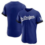 Los Angeles Dodgers Blank Player Royal Fotopoulosg City Connect Elite Home Stitched Jerseys